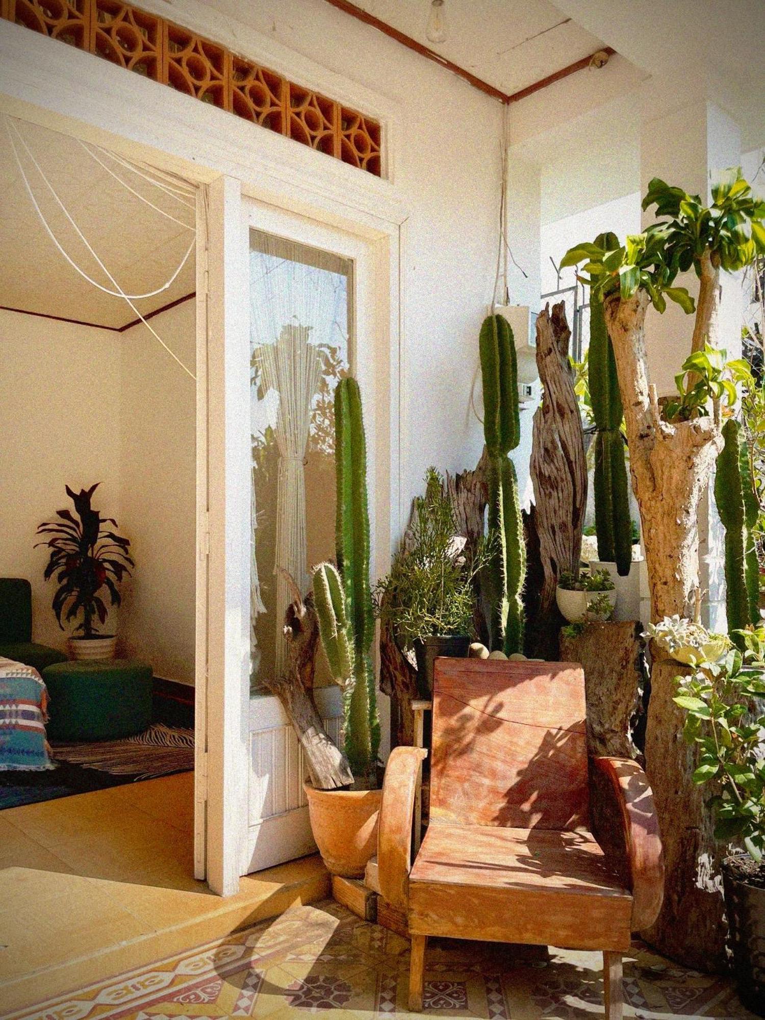 Hat De Homestay Đà Lạt Exterior foto